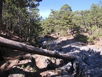 rrente Quarantore-20110911 002